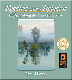 Roadtrip with a Raindrop - Harper thumb